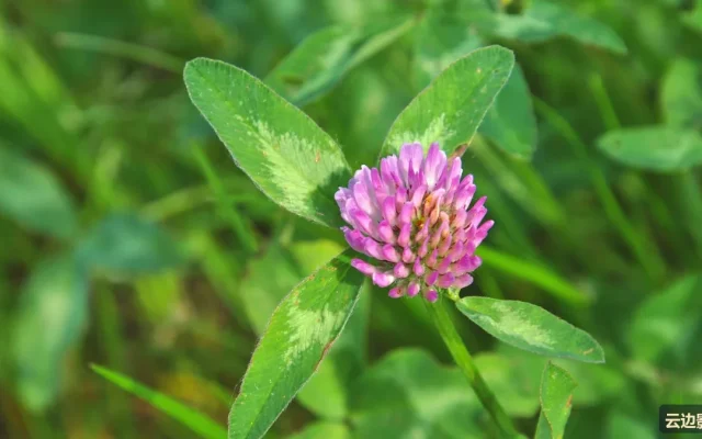 婚纱照季节选择：春夏秋冬的拍摄体验