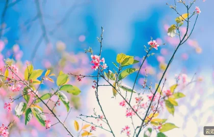 建筑延时摄影：工地与城市生长的记录